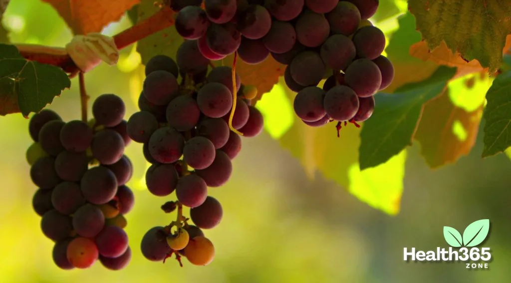 Are Grapes Healthy for weight loss?